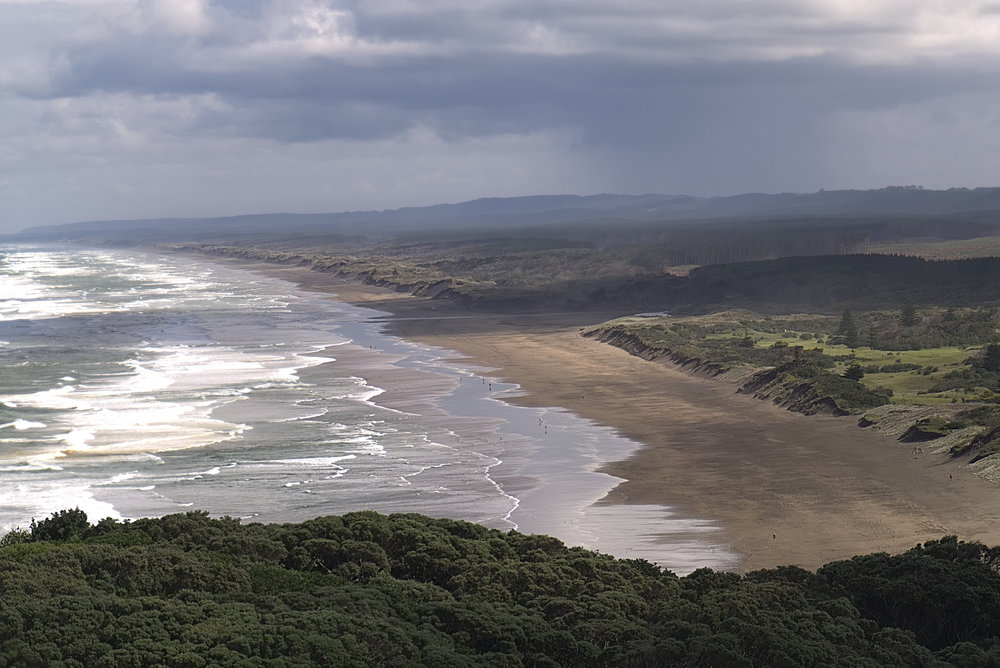 Muriwai Beach from the cliffs